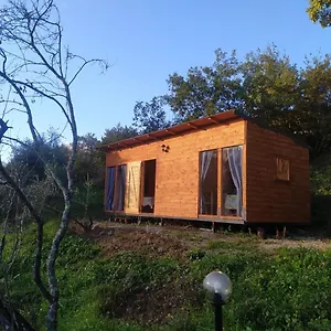 Agricampeggio La Casa Di Nicla Cavriglia